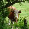 bilder stommeln 036